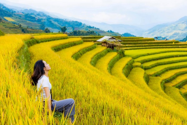 TOUR DU LỊCH HÀ NỘI - YÊN BÁI- MÙ CĂNG CHẢI - TÚ LỆ - NGHĨA LỘ - NÀNG THƠ GIỮA ĐẠI NGÀN 